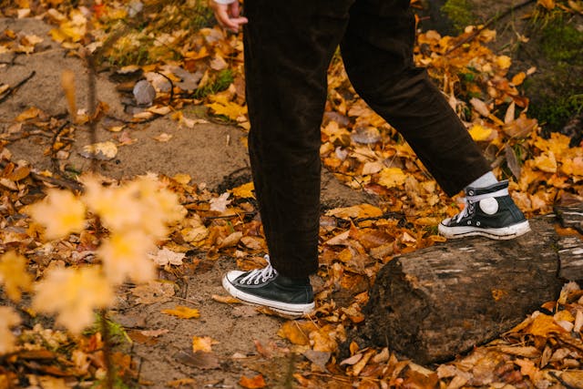 Aan het wandelen in het bos