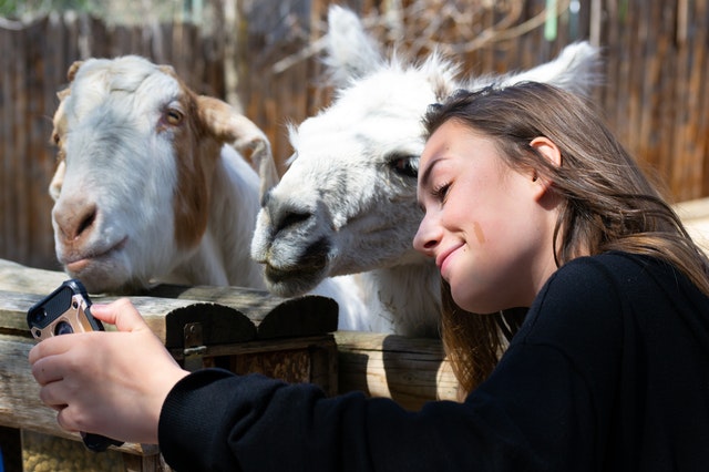 Op de foto met dieren