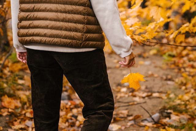 Persoon met blad in hand in het bos