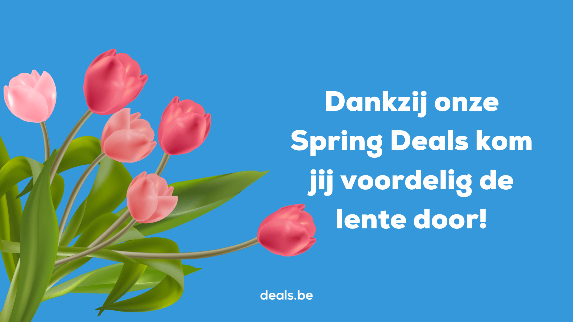 Spring Deals